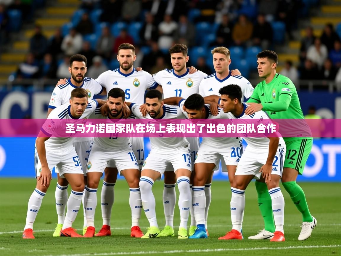 2025 迈博体育圣马力诺国家队在场上表现出了出色的团队合作  第4张