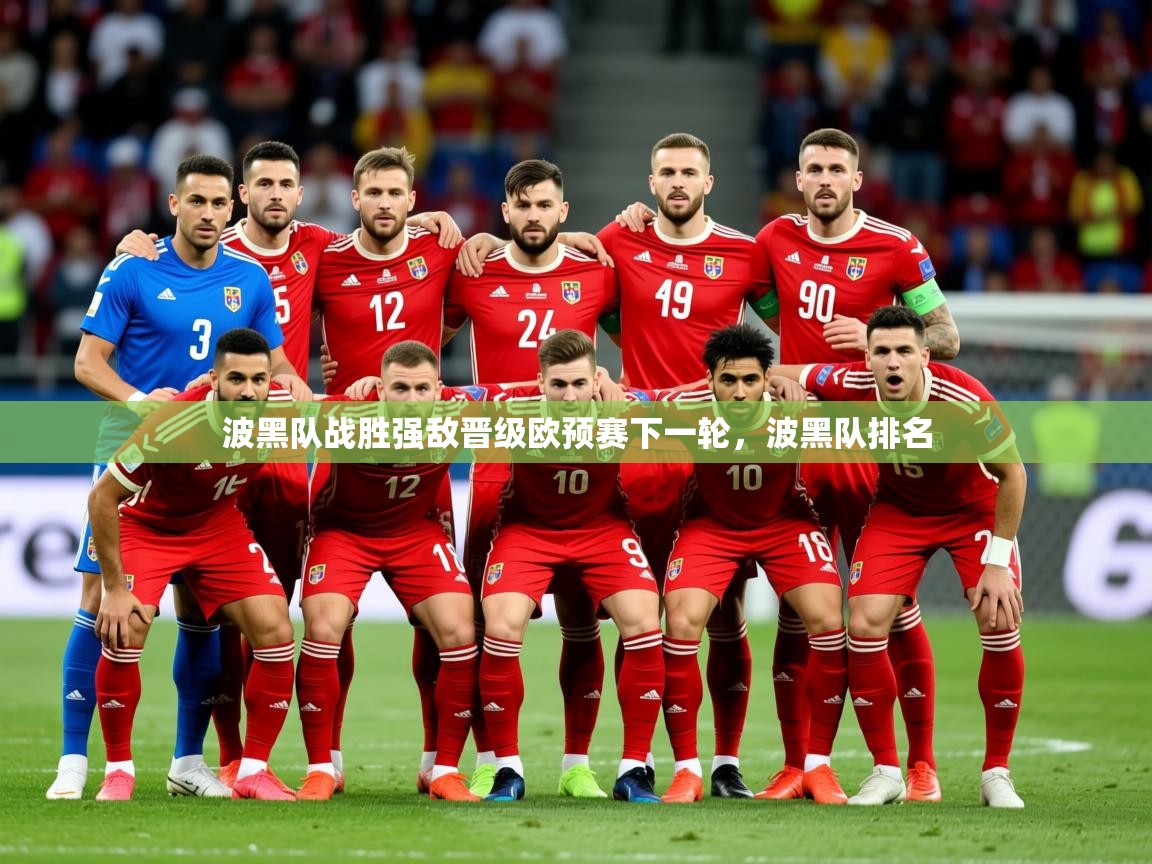 2025 迈博体育app下载波黑队战胜强敌晋级欧预赛下一轮,波黑队排名  第2张