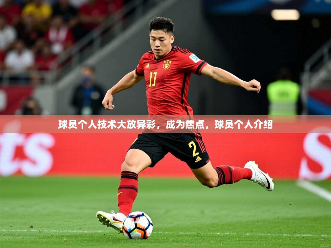 2025 迈博体育 源自欧洲球员个人技术大放异彩,成为焦点,球员个人介绍 第2张