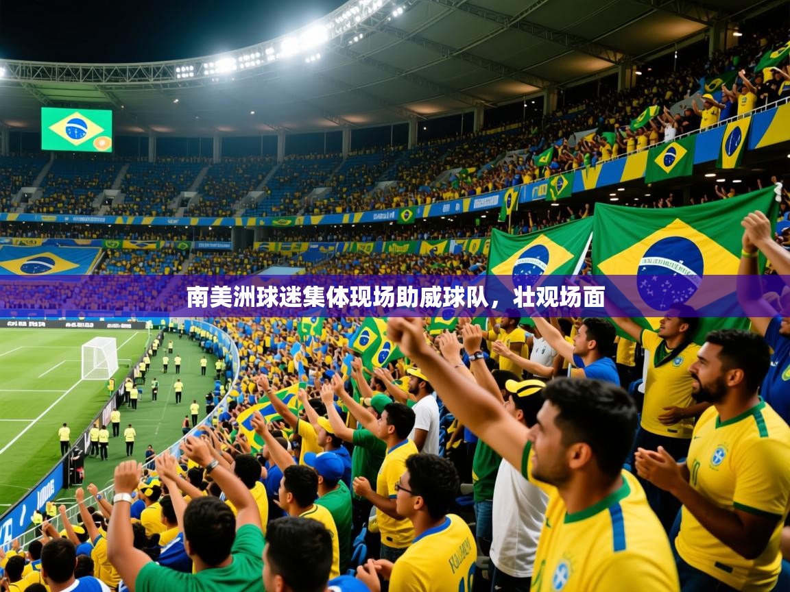 2025 迈博体育下载南美洲球迷集体现场助威球队，壮观场面  第2张